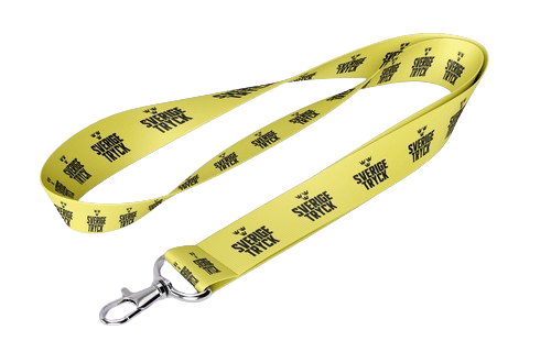 Lanyard